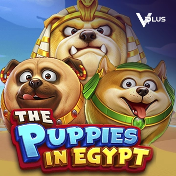 Vplus : The Puppies In Egypt - BOYBET168