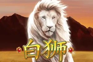 Playtech : Bai Shi - BOYBET168